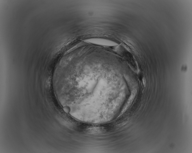 X0000090430499200708031133