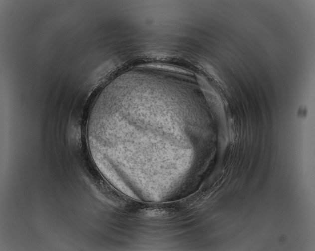 X0000090430500200708031133