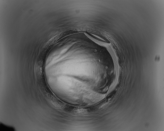 X0000090430501200708031133