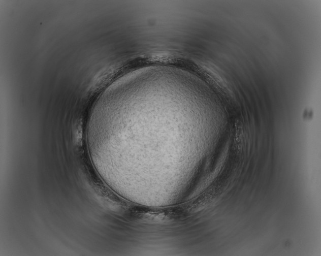 X0000090430502200708031133