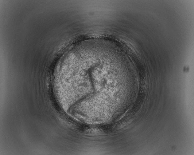 X0000090430503200708031133