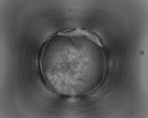 X0000090430504200708031133