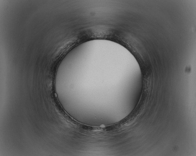 X0000090430505200708031133