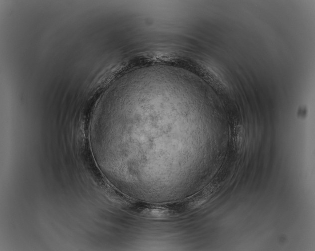 X0000090430506200708031133