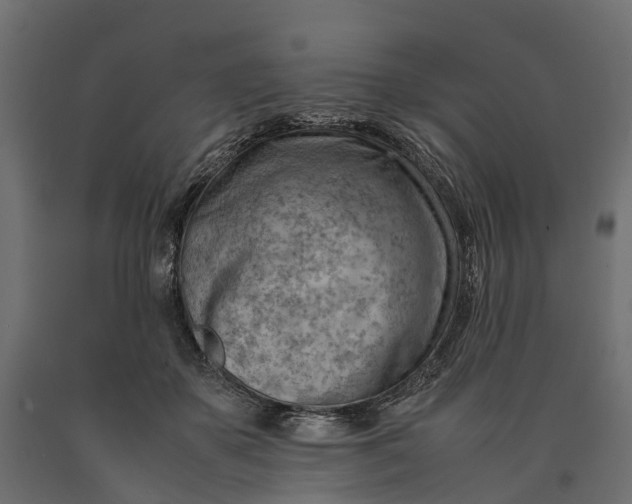 X0000090430507200708031133