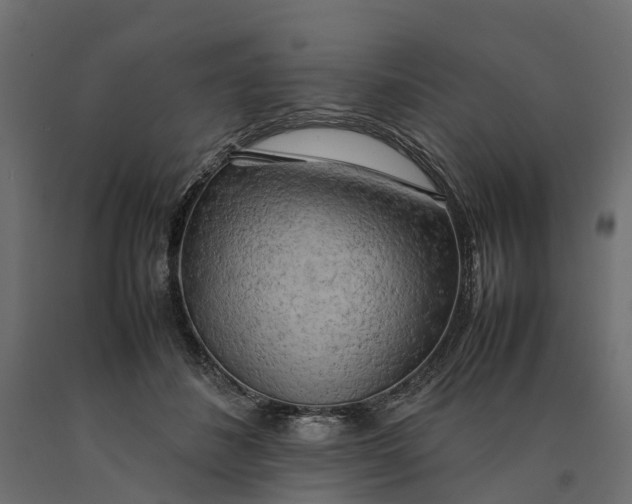 X0000090430508200708031133