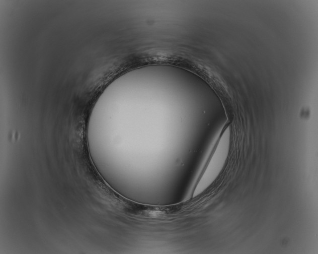 X0000090430509200708031133