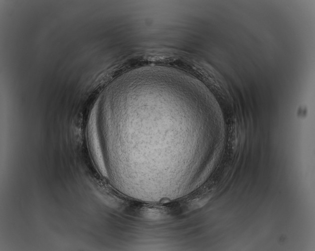 X0000090430510200708031133