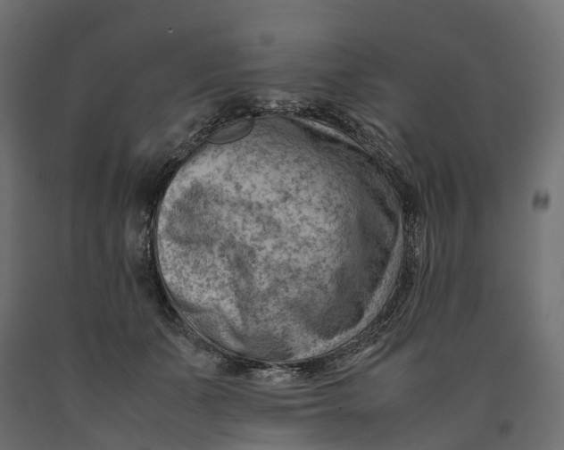 X0000090430511200708031133
