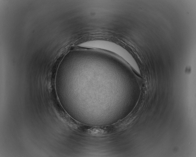 X0000090430512200708031132