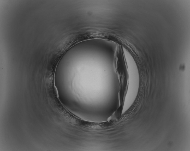 X0000090430513200708031132