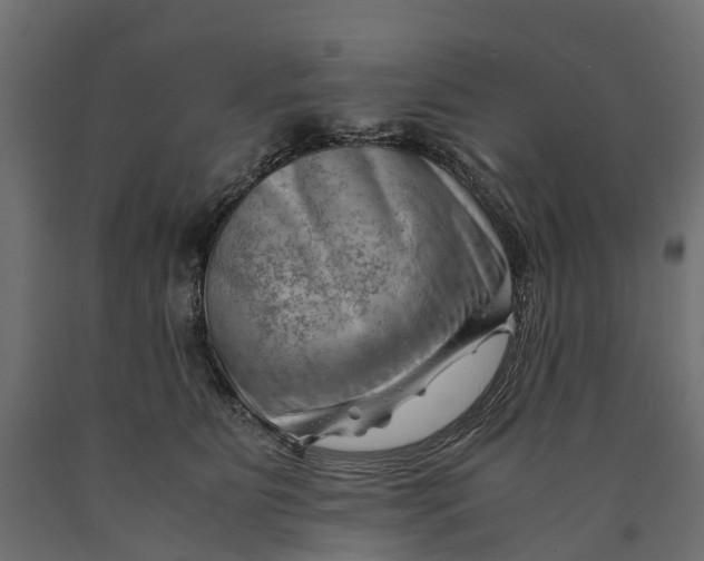 X0000090430515200708031132