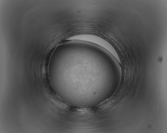 X0000090430516200708031132