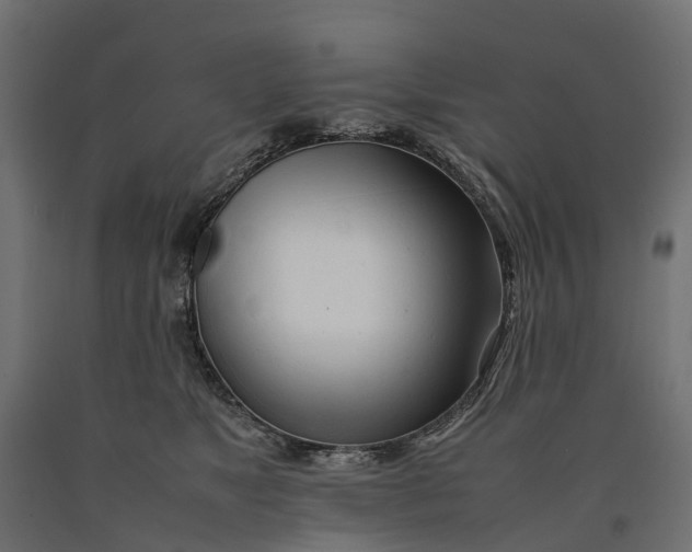 X0000090430517200708031132