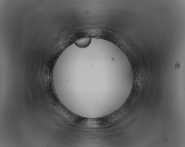 X0000090430518200708031132