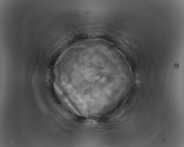 X0000090430519200708031132