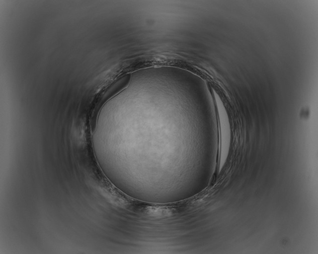 X0000090430520200708031132