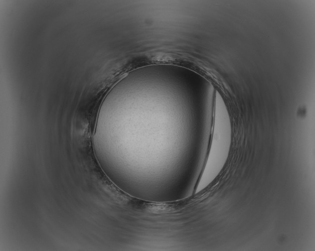 X0000090430521200708031132