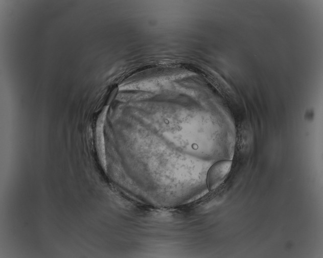 X0000090430523200708031132