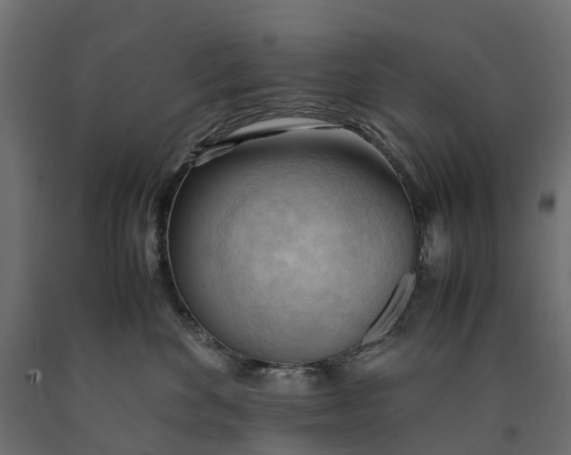 X0000090430524200708031132