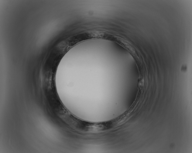 X0000090430525200708031132