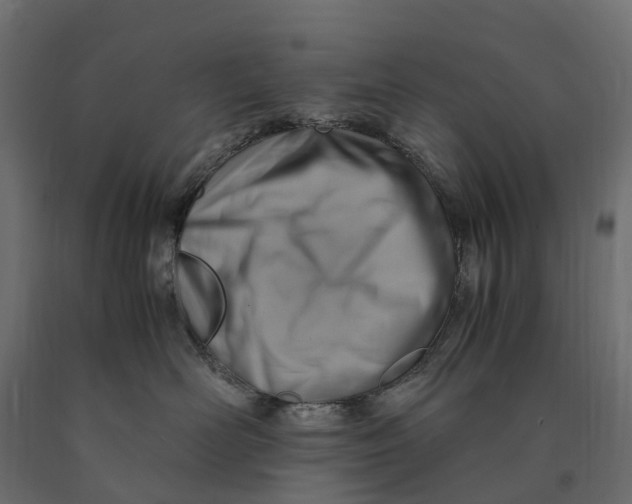 X0000090430526200708031132