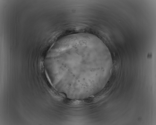 X0000090430527200708031132