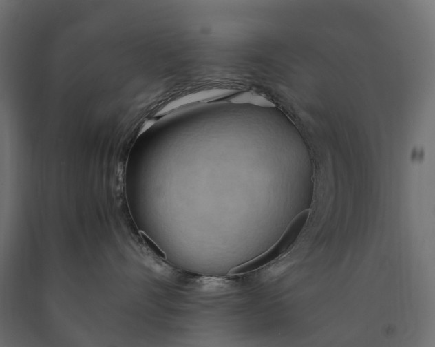 X0000090430528200708031132