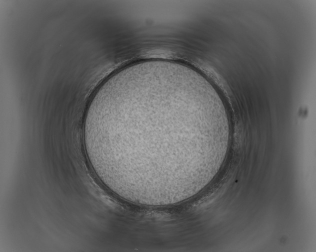 X0000090430529200708031131