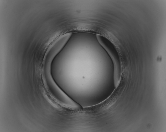 X0000090430530200708031131