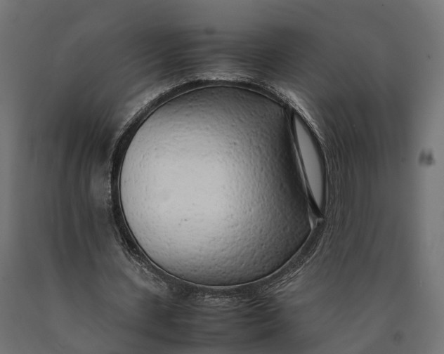 X0000090430531200708031131