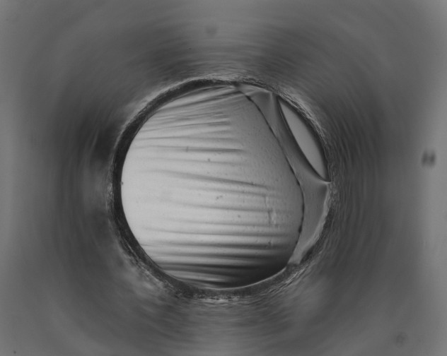 X0000090430532200708031131