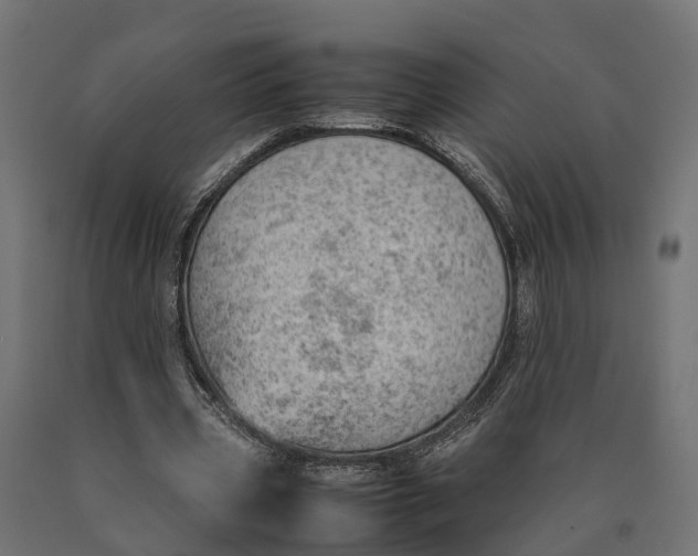 X0000090430533200708031131