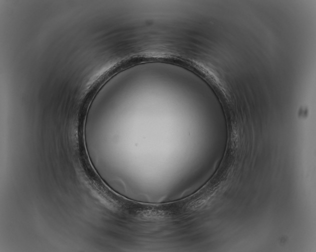 X0000090430535200708031132