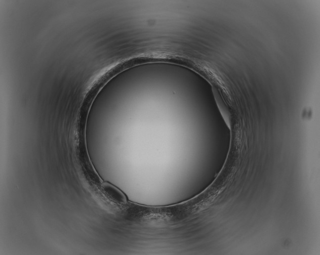 X0000090430536200708031132