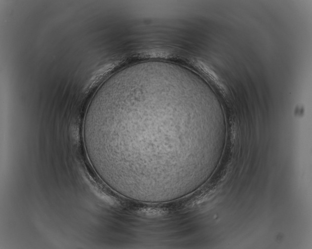 X0000090430537200708031132