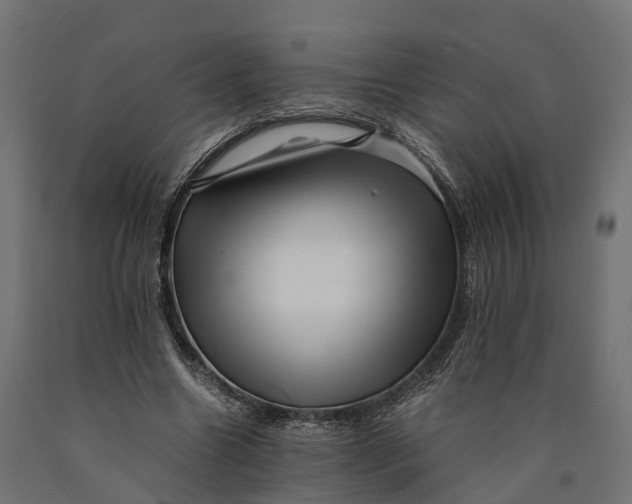 X0000090430538200708031132