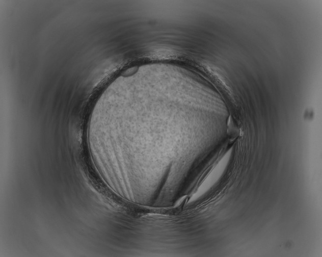 X0000090430539200708031132