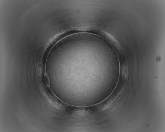 X0000090430540200708031132