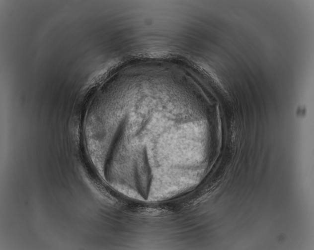 X0000090430542200708031132