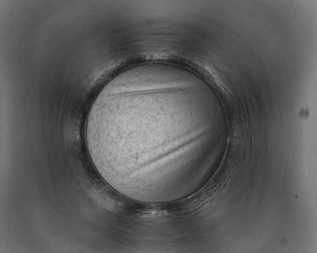 X0000090430543200708031132