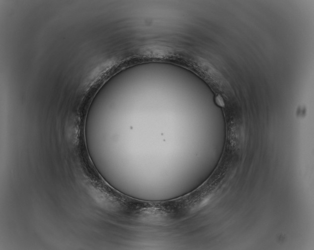 X0000090430544200708031132