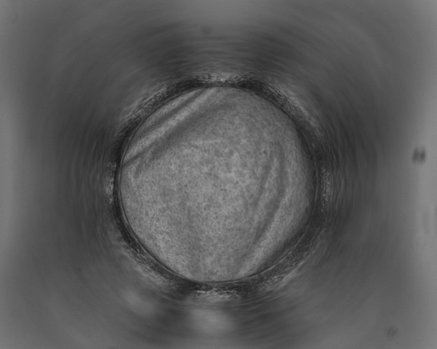 X0000090430545200708031132