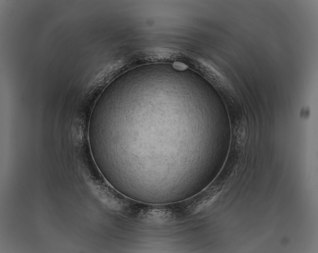 X0000090430546200708031132