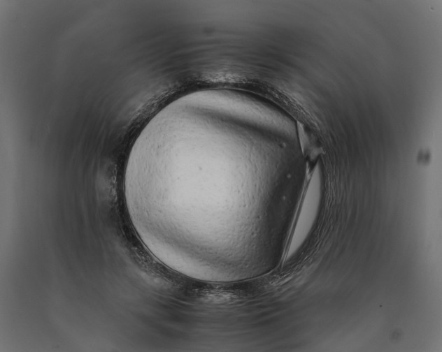 X0000090430547200708031132