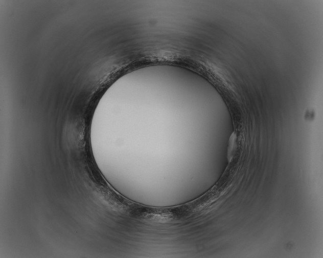 X0000090430548200708031132