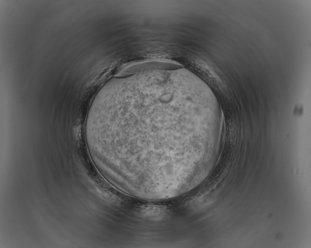 X0000090430549200708031132