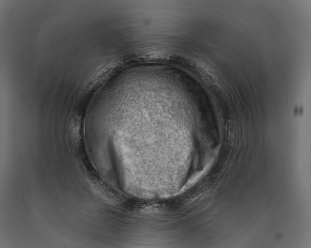 X0000090430550200708031132