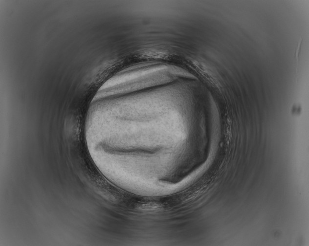 X0000090430551200708031132