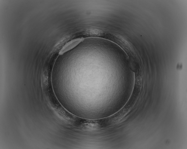 X0000090430552200708031132